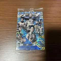 超RIZIN.3 シークレットカード No.35