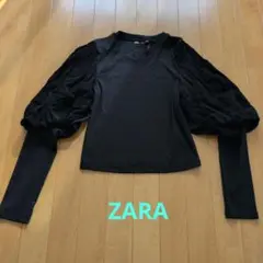 zara Tシャツ