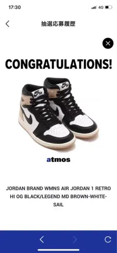 NIKE Air Jordan1 Retro High OG 