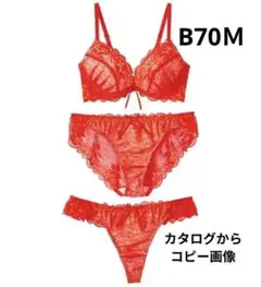 Item thumbnail for item 09c05ec2-2d40-40c6-b619-43dd4161c1c5