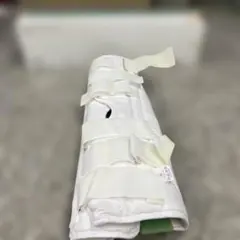 Item thumbnail for item 1f0d34f1-9426-4e56-9818-0161f4c1c607