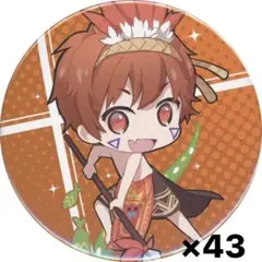 めいちゃん 缶バッチ ひきフェス43個