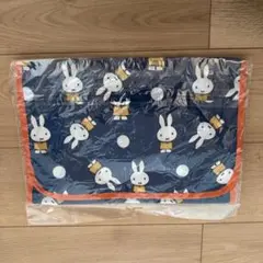 Item thumbnail for item 40b62766-e70e-4704-a71a-86ccf1e83b30