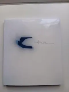 スノー・ボーン・ソロウ