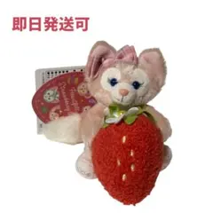 【本日限定価格】ディズニーシー リーナベル いちご キーホルダー