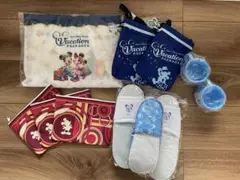 東京ディズニーリゾート バケーションパッケージ グッズセット