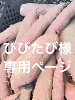 びびたび様専用ページです。