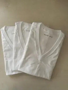 グンゼ BODY WILD VネックT 3枚　ホワイト　М