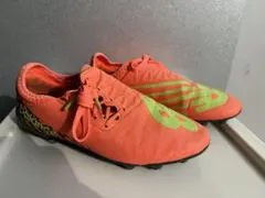 Item thumbnail for item dc58f453-65c3-47d1-a9e2-1c777303d2fc