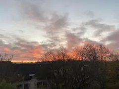 みま様　ご専用ページです⭐︎