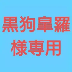 ◆(黒狗皐羅様専用！)おまとめ購入9点！