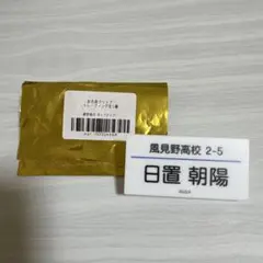 Item thumbnail for item dfb2b6bf-55c0-464e-8b64-f2e720cbf77f