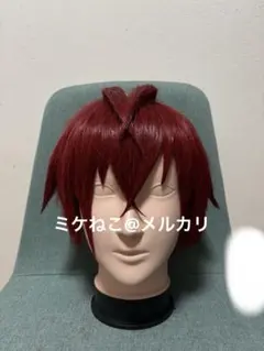 ツイステ リドル・ローズハート ウィッグ コスプレ ハーツラビュル寮 未使用