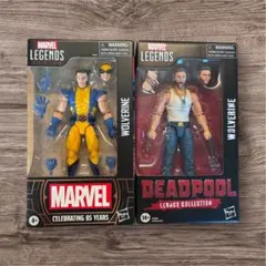 ピーター・パーカー、ネッド・リーズ、MJセット　マーベルレジェンド ピーター・パーカー、ネッド・リーズ、MJセット マーベルレジェンド
