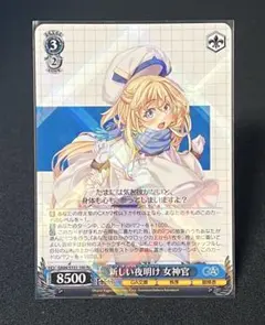 ws GA文庫 新しい夜明け 女神官 RR ゴブリンスレイヤー - メルカリ