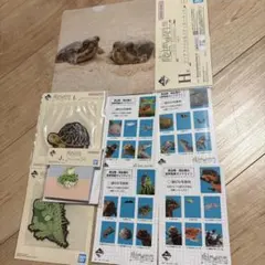 一番くじ 爬虫類＆両生類 vol.3 H賞 I賞 J賞 セット