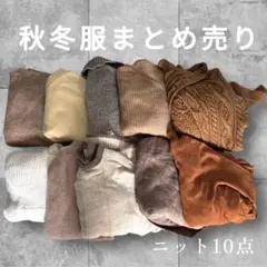 秋冬ニット10点セット まとめ売り レディース トップス