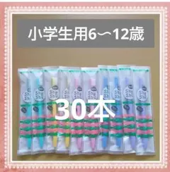 【623】新発売shushu小学生歯ブラシ ふつう30本
