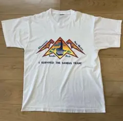 80s 90s USA製 袖シングル グッドプリント スーベニア Tシャツのサムネイル