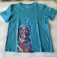 エルエルビーン　ターコイズ　ラブラドールS8