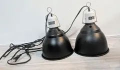 Item thumbnail for item 15a02c2c-8d63-4c29-bbd2-6a667914c505