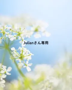 Julianさん専用