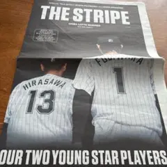 Item thumbnail for item 694b4430-8e62-44cd-acba-59503cff6488