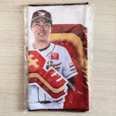 Item thumbnail for item c0ff8ae3-c269-47ba-8b72-54ccaee45de9