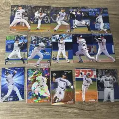 プロ野球チップスカード球団別まとめ売り【東京ヤクルトスワローズ】