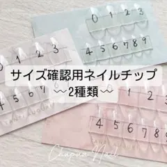 サイズ確認用ネイルチップ2種類セット