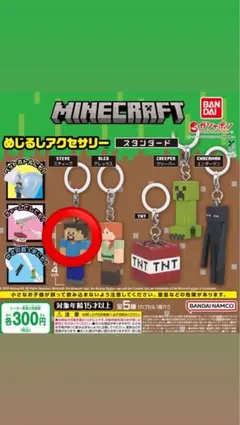 Minecraft めじるしアクセサリー スタンダード スティーブ - メルカリ