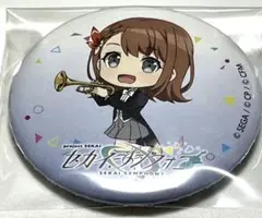 プロセカ　プロジェクトセカイ　みのり　セカイシンフォニー　sd缶バッジ