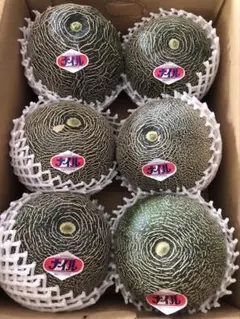 入荷しました！幻のメロン ナイルメロン 2Lサイズ 5玉 送料込み - メルカリ