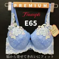 E65 トリンプ プレミアム レッドレーベル 0079 ブラジャー （ブルー）