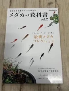 Item thumbnail for item 7b8baace-b6e3-4492-87b1-00a08cf2ecb6