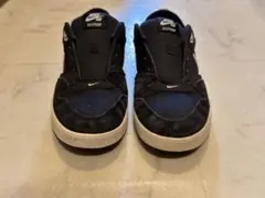 Nike SB ALLEYOOP スニーカー ブラック