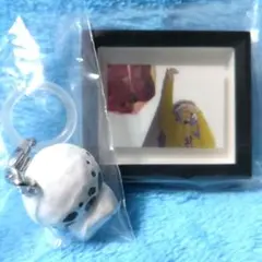 トラファルガー・ロー めじるし&ウィンドウアート2点セット