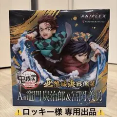 【専用出品】鬼滅の刃 竈門炭治郎＆冨岡義勇 A賞
