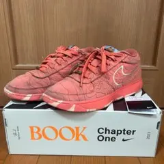 NIKE BOOK 1 TEXT EP ナイキ　ブック1 26.5cmのサムネイル