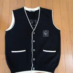 Item thumbnail for item e06b4a2d-25a4-4855-93a0-f8d5f6e96434