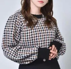 [Emsexcite] 千鳥柄 ニット ブラウン トップス