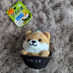 旅するマメしば　山形限定　芋煮バージョン