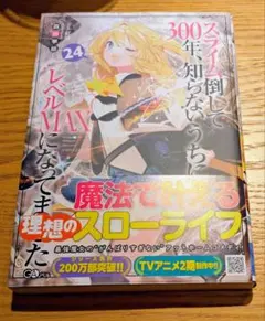 スライム倒して300年、知らないうちにレベルMAXになってました. 24