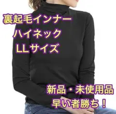 ★【新品】ダークエンジェル 裏起毛 インナーカットソー ハイネック ブラック★