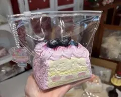 新品 bloomingjapan ブルーベリー 三層ケーキ トースト 捏捏