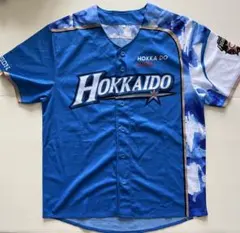 2026年最新】we love hokkaidoの人気アイテム - メルカリ