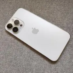 iPhone14 Pro シルバー本体 ジャンク品 256GB Apple iPhone 14 Pro Max 256GB シルバー ジャンク品 - メルカリ