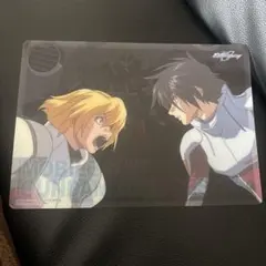 ガンダムシードデスティニー シンアスカ ステラルーシェ ジャンボカードダス