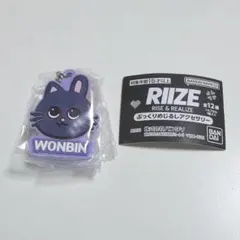 2026年最新】RIIZE ウォンビン キーホルダーの人気アイテム - メルカリ
