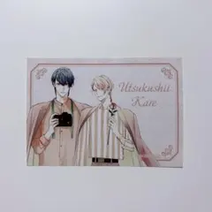 2026年最新】美しい彼 特典の人気アイテム - メルカリ